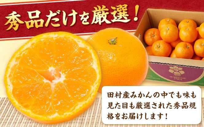 みかん 高級ブランド 秀品 紀州有田田村産みかん 3kg 株式会社魚鶴商店《12月上旬-1月中旬頃出荷(土日祝除く)》和歌山県 日高町 田村産 柑橘 フルーツ くだもの 果物---wsh_uot211_12j1c_25_15000_3kg---