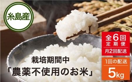 【全6回(月2回)定期便】栽培期間中 農薬不使用のお米 ヒノヒカリ 5kg 糸島市 シーブ [AHC006] お米 5kg 送料無料 ギフト 5キロ 無農薬 米 おにぎり 定期便
