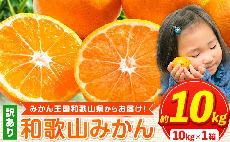 [訳あり/サイズ不選別] みかん王国和歌山よりお届け! 訳ありみかん サイズ不選別 選べる内容量 約10kg[先行予約] [2025年11月中旬-1月中旬頃出荷(土日祝除く)]たっぷり ご家庭用 2L〜2S 産地直送 みかん 旬 蜜柑 ミカン 柑橘 果物 フルーツ 和歌山県 紀の川市---wfn_wlocal90_11c1c_25_10000_10kg---