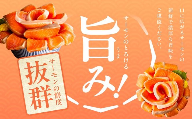010B1969 【お試し】サーモン 500g ポーション【訳あり サイズ不揃い 刺身 海鮮丼 さーもん サラダ カルパッチョ 鮭 さけ シャケ しゃけ 人気 小分け 冷凍 家計応援】