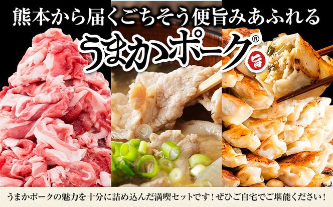 豚肉 うまかポーク 満喫セット 全3回 定期便 うまかポーク 切り落とし ミンチ バラエティセット 生餃子《お申込み月の翌月から発送開始》熊本県 大津町 豚肉 ミンチ 干し芋 ハンバーグ 肉 頒布会 全3回---oz_fumaptei_25_45500_mo3num1---