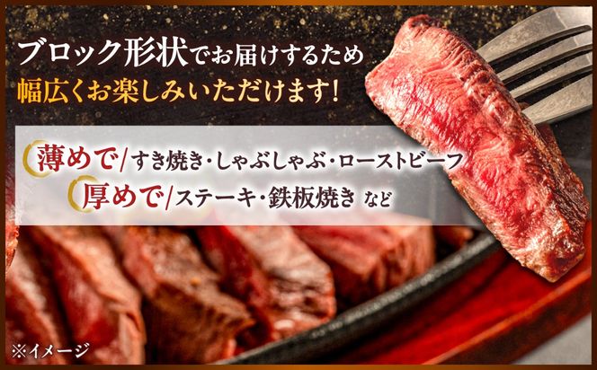 【A4〜A5】長崎和牛ロースブロック 約500g / 牛肉 ぎゅう肉 和牛 / 南島原市 / 株式会社MEAT PLUS[SHG062]