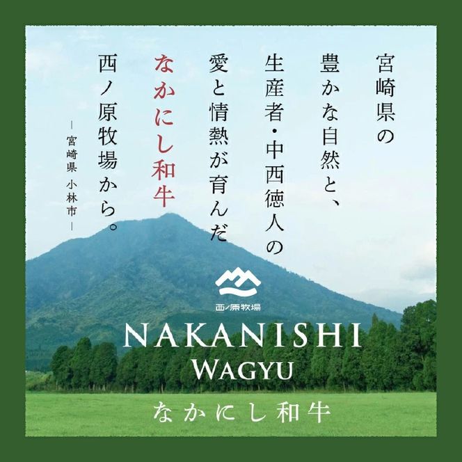 【4等級以上】なかにしプレミアム切り落とし<約800g：西ノ原牧場>（国産 牛肉 国産牛 和牛 黒毛和牛 赤身 すき焼き 切り落とし 薄切り スライス）