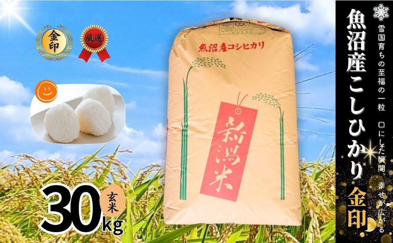 玄米 コシヒカリ 金印 30kg 米 お米 魚沼産コシヒカリ 新潟米 新潟 十日町市