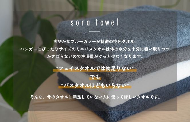 G5690 【スピード発送】soraミニバスタオル6枚セット（ホワイト/ネイビー）【フェイスタオル 以上 バスタオル 未満 泉州タオル 吸水 普段使い シンプル 日用品 たおる】