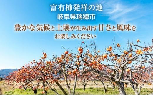 【先行予約】富有柿 贈答用 L×14個【富有柿の発祥の地 瑞穂市！！】｜富有柿 柿 かき カキ フルーツ 果物 贈答 贈答用 プレゼント ギフト 贈り物 秋 Lサイズ 人気 産地直送 岐阜 瑞穂市 送料無料  ※2026年11月～発送