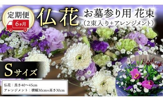 定期便 6か月 ＊ 仏花 セット S （ 束 ×2 ・ アレンジメント ） 定期 花 フラワー 生花 月命日 命日 墓前 お墓参り 供花 お悔やみ お供え [CT105ci]