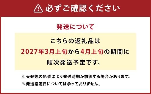【先行受付】特別栽培不知火 3kg サイズミックス 不知火 しらぬい  柑橘 果物 みかん フルーツ デザート【2027年3月上旬から4月上旬発送予定】