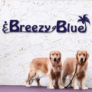 貸別荘BreezyBlue淡路島 ご利用券【10月～3月宿泊限定】（10,000円分）