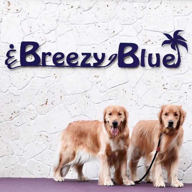 貸別荘BreezyBlue淡路島 ご利用券【10月～3月宿泊限定】（10,000円分）