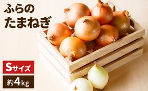 【2026年発送】ふらの たまねぎ 約10kg 小粒 Sサイズ ( 北海道 富良野市 野菜 新鮮 直送 玉ねぎ 道産 ふらの 送料無料 数量限定 )