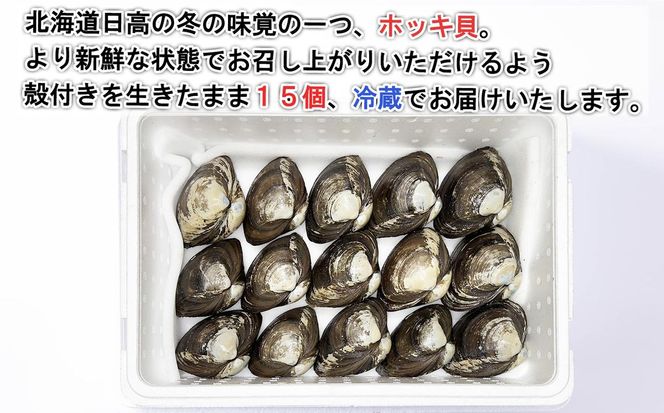 北海道産 活ホッキ 貝 15個 ホッキ 北寄 北寄貝 貝 殻付き 海鮮 海産物 新鮮 旬