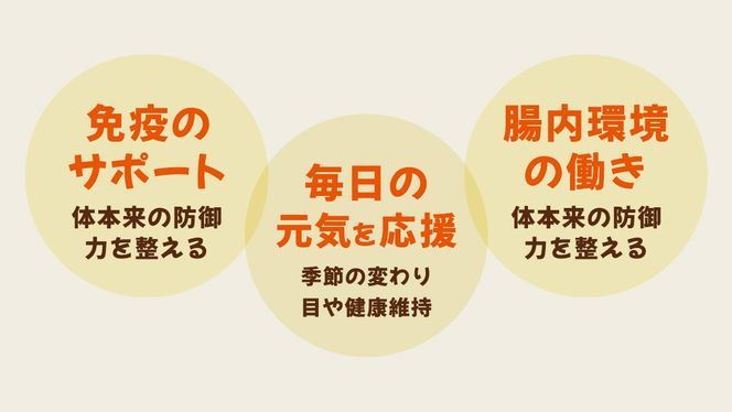 花びらたけ 粉末 3袋 セット（各 50g ） （茨城県共通返礼品：城里町） 花びら茸の粉末 ハナビラタケ 野菜 乾燥 花びらたけ きのこ パウダー 手軽 時短 [DY008us]