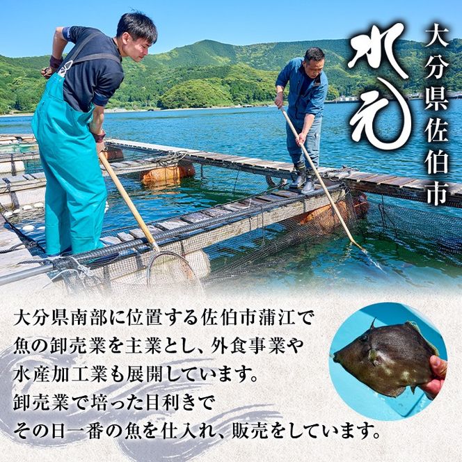 ＜定期便・全3回 (隔月)＞ 訳あり 骨取り 白身魚 切身 (総量3.6kg・計1.2kg×3回) 魚 切り身 小分け 骨取り カット済 無塩 簡単調理 冷凍 定期便 国産 大分県産 おかず おつまみ お弁当 にべ ニベ 【GO014】【(株)水元】