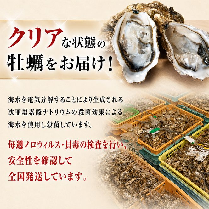 2月配送 訳あり ハーフ 規格外 牡蠣 北海道厚岸産 殻付カキ 約2kg（11～25個）カキナイフ付 生食 魚貝類 生牡蠣 かき 生カキ カキフライ マルえもん いびつな形 四季によって違う味わい コクがあり濃厚