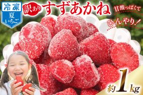 訳あり 冷凍 夏いちご すずあかね 約1kg [水山養殖場 宮城県 気仙沼市 20564004] 果物 イチゴ いちご 苺 簡易包装 フルーツ