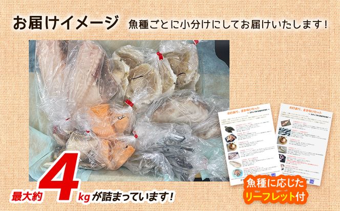 【2026年8月下旬発送】訳あり 北海道のおさかな屋さんの まかないセット 最大約4kg 魚 魚介 訳あり