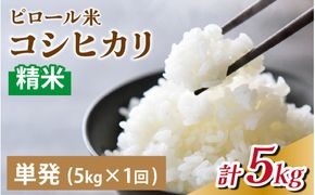 25年10月中旬以降順次発送　富山県滑川産 弱アルカリ性米「ピロール農法米 コシヒカリ」与文のお米（精米5kg）産地直送 袋 精米5kg おにぎり お米 白米 国産 ご飯 ごはん 富山県 滑川市 アグリめぐみ A-050002  アトピー 米