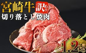 ＜訳あり 宮崎牛 切り落とし焼肉 合計1.2kg＞入金確認後、14営業日以内に順次発送 【 焼肉用 焼き肉 やきにく 訳アリ品 わけあり A5等級 ランク 高級 お肉 和牛 黒毛和牛 ブランド牛 柔らかい お家焼肉 BBQ バーベキュー ご褒美 新鮮 鮮度 】【b1101_no】