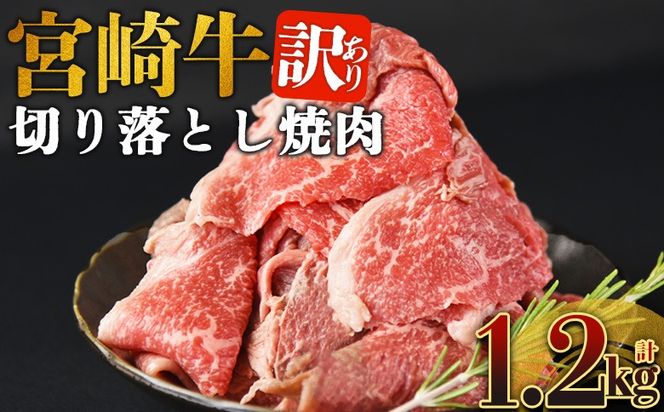 ＜訳あり 宮崎牛 切り落とし焼肉 合計1.2kg＞入金確認後、14営業日以内に順次発送 【 焼肉用 焼き肉 やきにく 訳アリ品 わけあり A5等級 ランク 高級 お肉 和牛 黒毛和牛 ブランド牛 柔らかい お家焼肉 BBQ バーベキュー ご褒美 新鮮 鮮度 】【b1101_no】