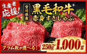 牛肉 ※発送月・内容量が選べる※ 生産者応援！宮崎県産黒毛和牛赤身すきしゃぶ250g～1000g 【 数量限定 牛肉 牛 肉 5等級 すき焼き すきやき しゃぶしゃぶ スライス 】 [ B00601 B00602 B00603 ]