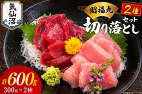まぐろ ミナミマグロ ビンチョウマグロ 各300g 切り落とし セット [臼福本店 宮城県 気仙沼市 20566282] 魚 鮮魚 刺身 トロ 天然本マグロ マグロ みなみまぐろ ビンチョウ まぐろ 鮪 本まぐろ 本マグロ 本鮪