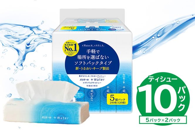 エリエール +Water（プラスウォーター）ソフトパックティシュー　120W5P×2パック【0095-016-1】