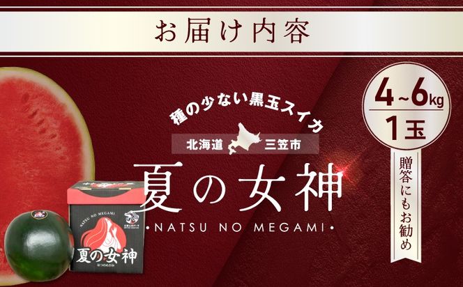《2026年分受付中》『夏の女神』種が少なくて甘い黒皮スイカ1玉入（中玉4～6kg）【01005】