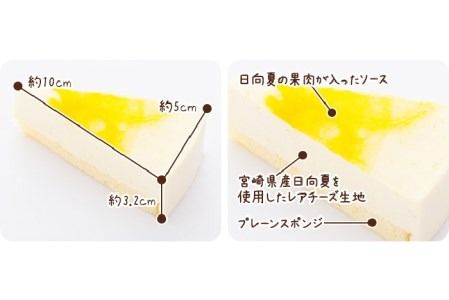 レアチーズケーキ( あまおう/ 日向夏 ) ケーキ 2種12個 冷凍 糸島市 / 五洋食品産業 [AQD008] お祝い バースデー クリスマス 誕生日ケーキ 冷凍ケーキ 詰め合わせ