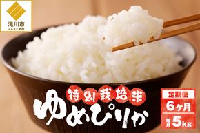 《令和7年産》特別栽培米ゆめぴりか 5kg×6ヵ月定期便 | 16年連続特A ブランド米 白米 精米 米 お米 こめ 減農薬 単一原料米 ご飯 北海道米 北海道 滝川市