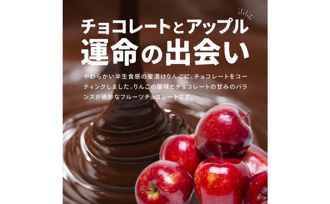 アップルチョコレートミルク450g 242161_CR016