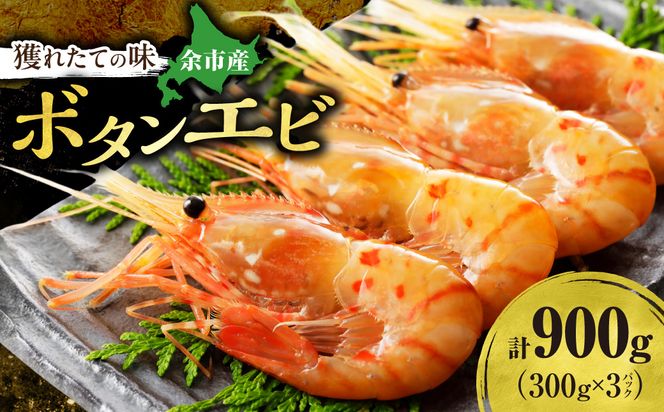 獲れたての味！北海道余市産 ボタンエビ 900g 300g×3パック 地元漁港直送 急速超低温冷凍 獲れたて 刺身用 生食可 国産 天然 牡丹海老 プリプリ食感 小分け 海の宝石 有頭 送料無料_Y022-0026