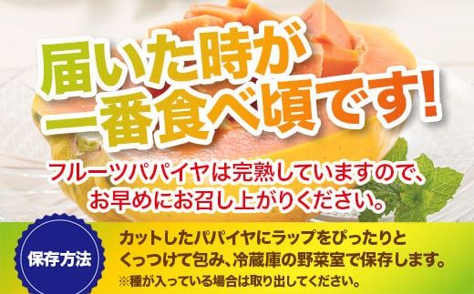 フルーツパパイヤ４kg 【 パパイヤ フルーツパパイヤ 果物 くだもの フルーツ 果実 国産 沖縄県 沖縄 石垣 石垣島 石垣市 】ZH-14