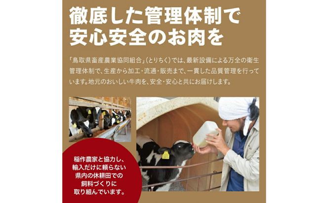 鳥取牛サンカクバラ焼肉用 600g（冷凍） 312011_CA005