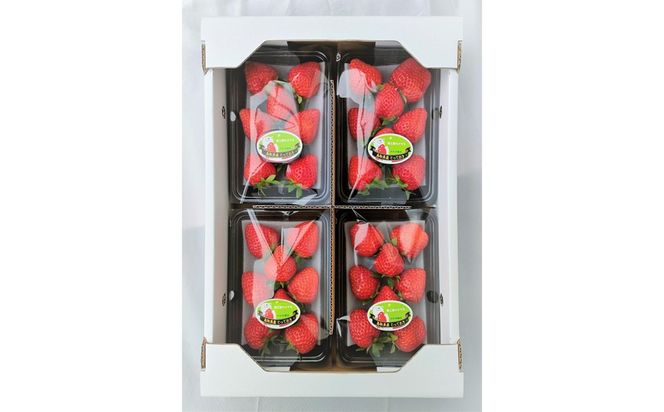 y挧sz挧Vuh䕁uƂĂv4pbNly䕍H[z 312011_BE003