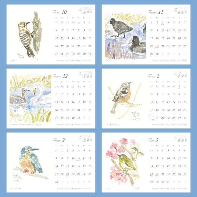 【数量限定】【徳本萌子】きたいばらき 野鳥カレンダー（2026年4月はじまり）【ポストカード 卓上 絵 水彩画 風景画  渡り鳥 自然 インテリア 北茨城市 茨城県】(DK001)