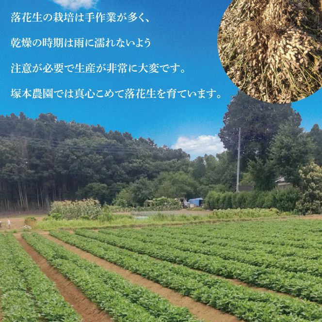 【2026年11月中旬より順次発送】なめがたの煎落花生　190g×3袋入り(CS-2)