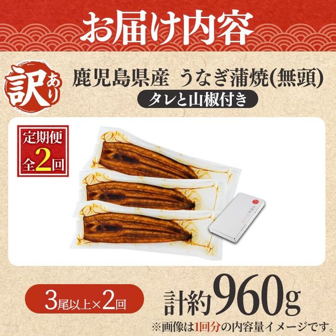 【0254309b】＜定期便・全2回＞【緊急支援品】＜訳あり＞鰻の蒲焼き(無頭)(3尾以上×2回・計約960g・タレ、山椒付) うなぎ ウナギ 鰻 国産 蒲焼 蒲焼き たれ 鹿児島 ふるさと 人気 支援 【アクアおおすみ】