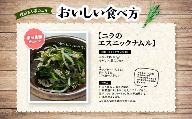 【先行予約】【12月から発送】肉厚・シャキシャキ! 朝採れ鮮度抜群! 櫻田さん家のニラ 1kg(100g×10束) SMCS001