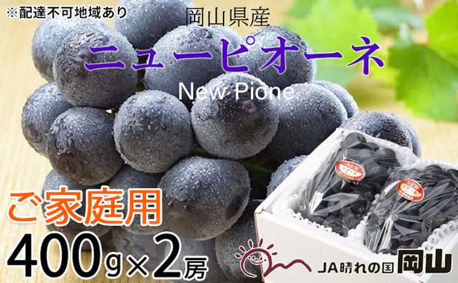 ぶどう 2026年 先行予約 ご家庭用 ニュー ピオーネ 約400g×2房 ブドウ 葡萄  岡山県産 国産 フルーツ 果物 巨峰 美しい 外観 大粒 高糖度 種なし 皮ごと 芳醇 酸味 美味しい 絶妙 バランス 大人気 