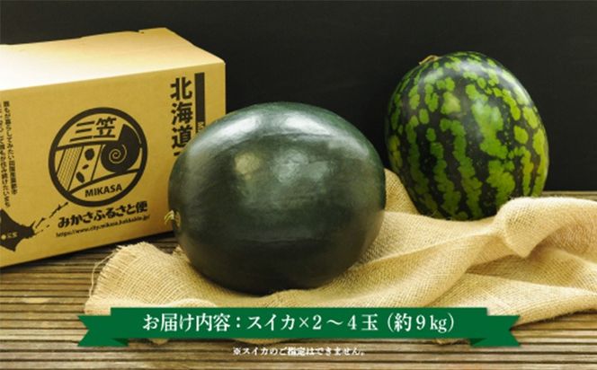 《2026年分受付中》秋に収穫される赤色スイカor黄色スイカ2～4玉(約9kg)【01149】