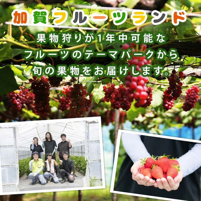 オリジナルりんごのスパークリングワイン　750ml×2本 F6P-1819