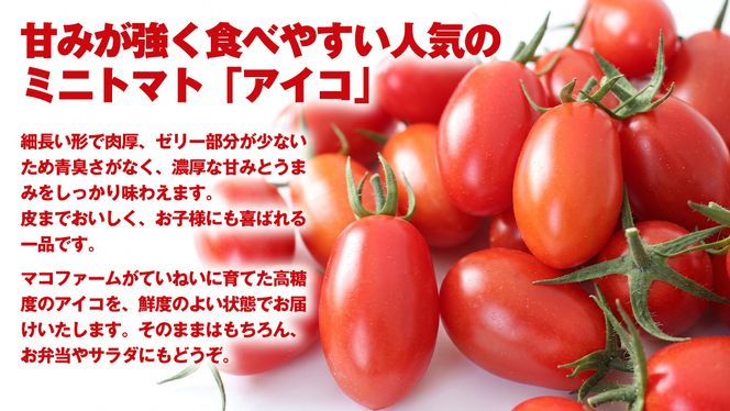 高糖度 ミニトマト アイコ 約1050g (150g×7パック)  ( 茨城県共通返礼品：大子町 )ミニトマト ぷちトマト 高糖度 甘い 新鮮 野菜 サラダ 弁当 リコピン 農家直送 産地直送 [FC208us]