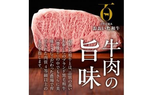 黒毛和牛の旨味を引き出す おおいた和牛のサイコロステーキ＆特製スパイス/4人前計300g_2461R