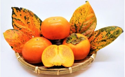 【先行予約】【秀品】紀美野町産 冷蔵富有柿 約3kg(8個～10個入り)〈プレミア和歌山認定品〉【2025年12月上旬～2026年2月上旬に順次発送致します。】/ 和歌山県 紀美野町 カキ 富有柿【f