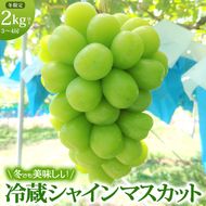 【11・12月発送】富山葡萄園の冷蔵シャインマスカット 2kg以上（3-4房）長野 信州 坂城 産地直送※配送不可エリアあり※ 果物類 ぶどう ブドウ フルーツ 