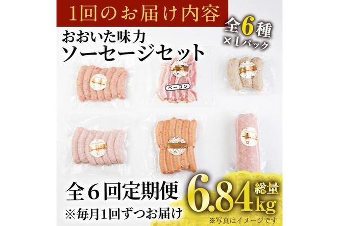 ＜定期便・全6回(連続)＞おおいた 味力 ソーセージ セット(総量6.84kg) ウィンナー ベーコン 定期便 国産 冷凍 豚肉 鳥肉 詰め合わせ 惣菜 おかず お弁当 粗挽き あらびき 大分県 佐伯市【DP80】【株式会社まるひで】