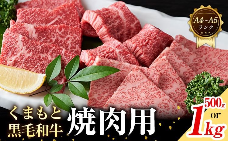 [A4〜A5]くまもと 黒毛和牛 焼肉用 500g 1kg [30日以内に出荷予定(土日祝除く)]熊本県 大津町 黒毛和牛 肉 お肉 和牛 牛 牛肉 A5 A4 小分け---so_fmpkkyn_30d_25_13500_500g---