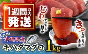 冷凍キハダマグロ 1kg (500g×2パック) マグロ まぐろ 小分け 冷凍 刺身 赤身 沖縄市 / 沖縄市漁業協同組合 パヤオ直売店[BCDZ001]