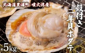 【先行予約】北海道 豊浦町 殻付き 2年貝 活ホタテ 約5kg（2026年1月から3月より順次発送） TYUP002